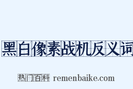 黑白像素战机反义词是什么意思的图片